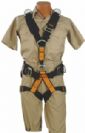 Vanguard Harness