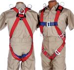 Industrial 3 "D" Harness