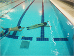 Pool Rescue / Lifeguard Manikin